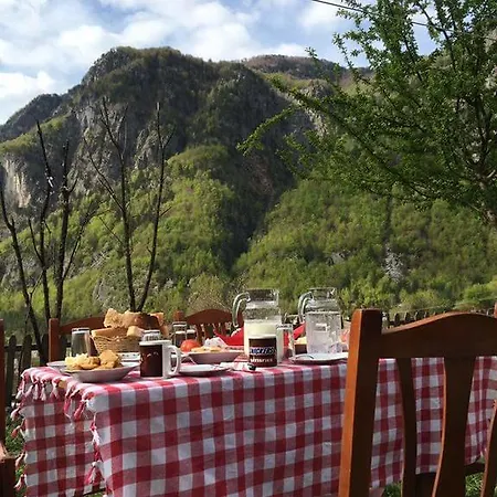 Guest house Bujtina Berishta 5*